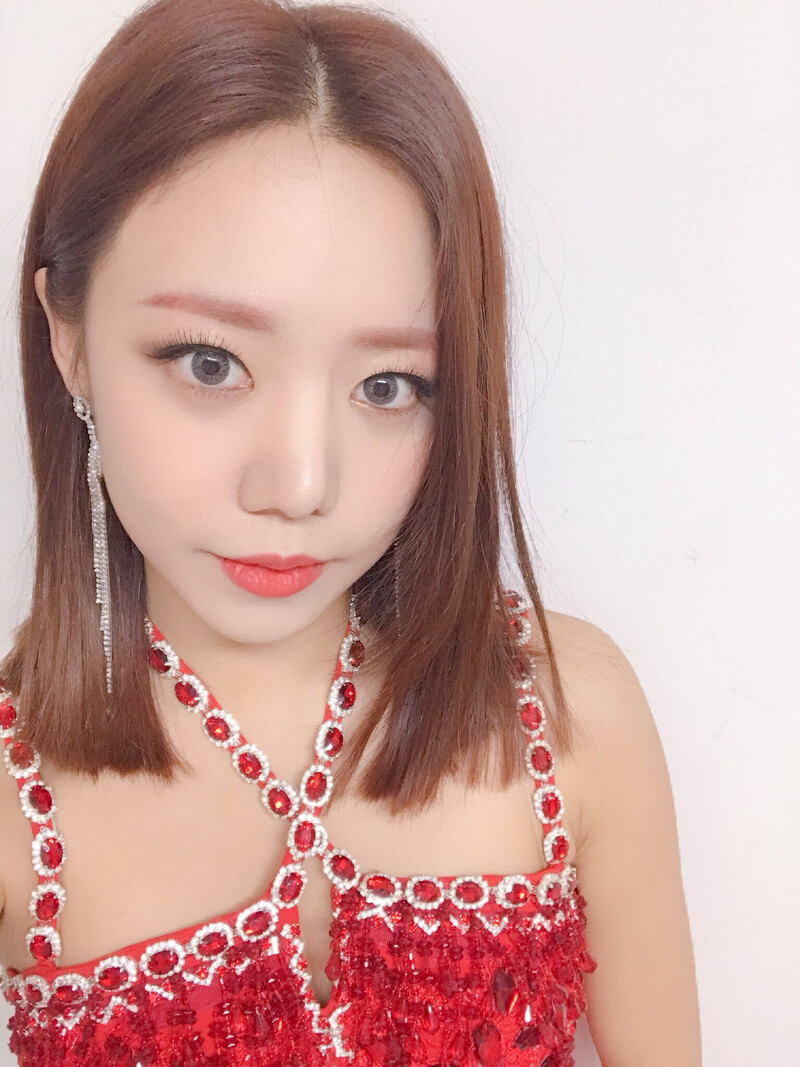 190105 APINK sns update - 5th Concert 2019 Pink Collection : Red & White - Day 1 documents 4