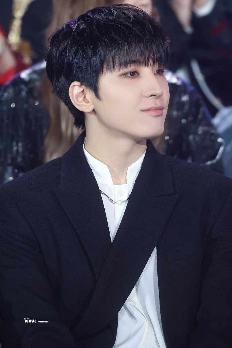 250105 SEVENTEEN Wonwoo at Golden Disc Awards 2025 documents 1