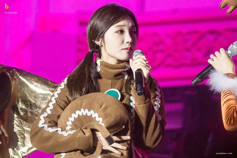 161217 Apink EUNJI - '2016 PINK PARTY' Concert Day 1 documents 24