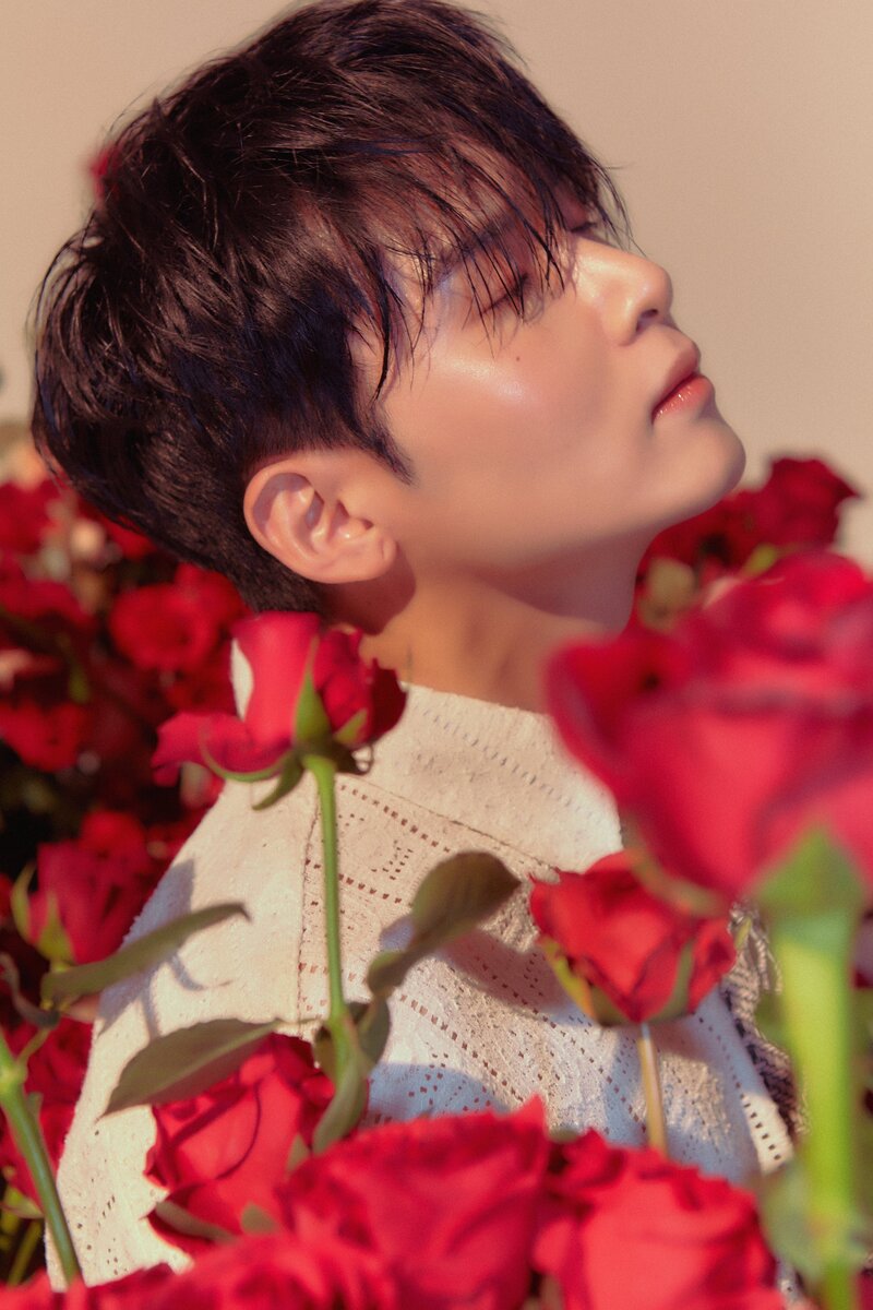 Ryeowook - 'A Wild Rose' Concept Teaser Images documents 13