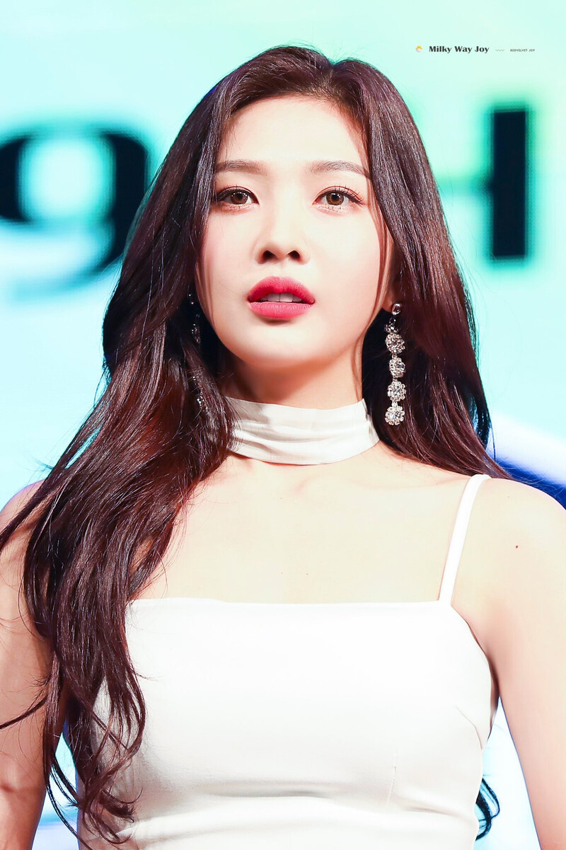 190515 Red Velvet Joy documents 1