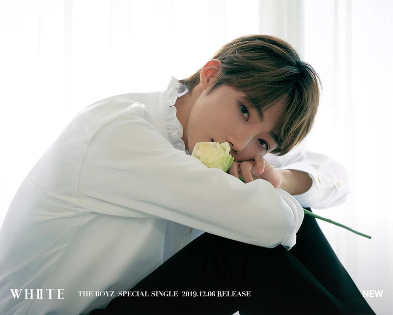 The Boyz "WHITE" Concept Teaser Images documents 5