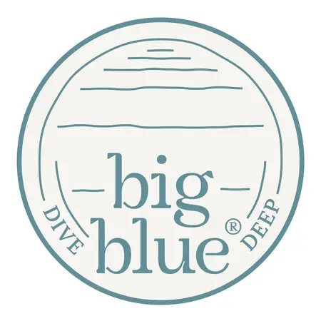 Studio Big Blue logo