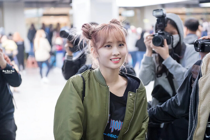 Momo469.jpg