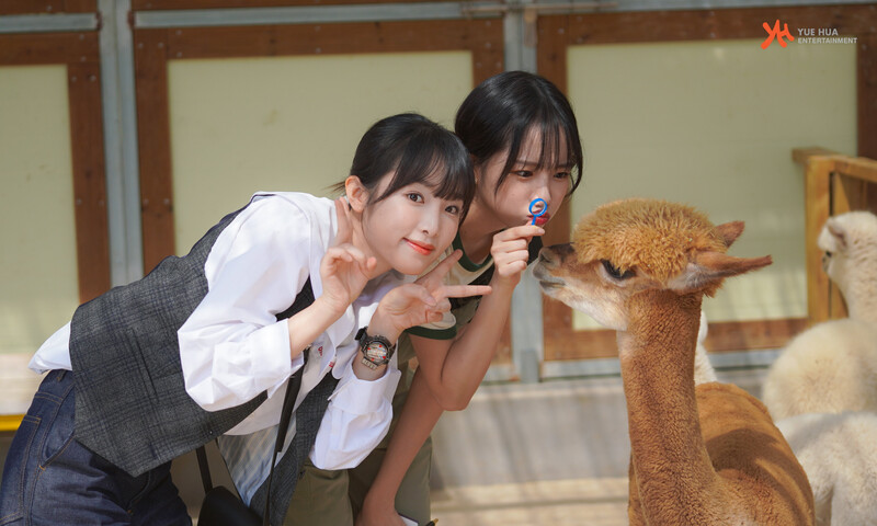 210908 Yuehua Naver Post - Yena & Yuri on Yena's Animal Detective documents 11