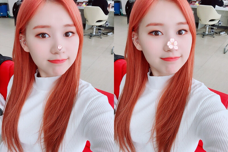 180328 Elly Twitter update documents 1