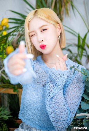 220721 WJSN Dayoung 'Last Sequence' Promotion Photoshoot by Osen