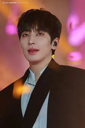 250105 SEVENTEEN Wonwoo at Golden Disc Awards 2025