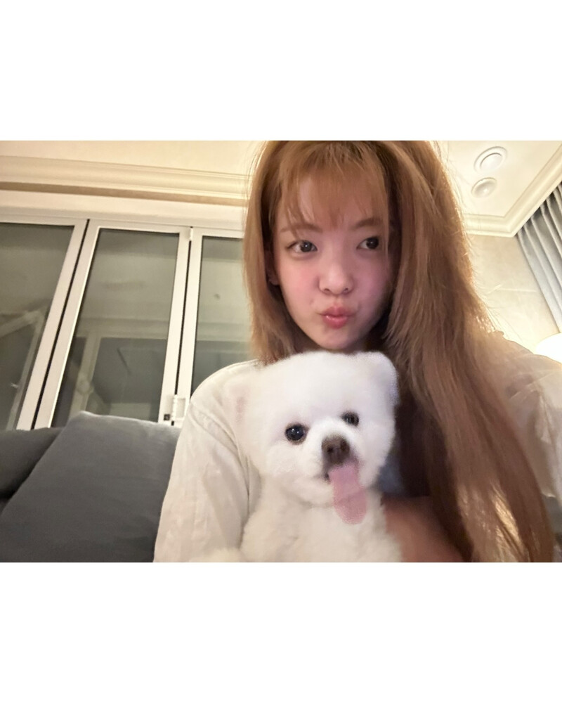 241219 - LIA Instagram Update documents 2