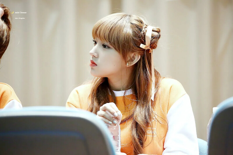 Cheng xiao339.JPG