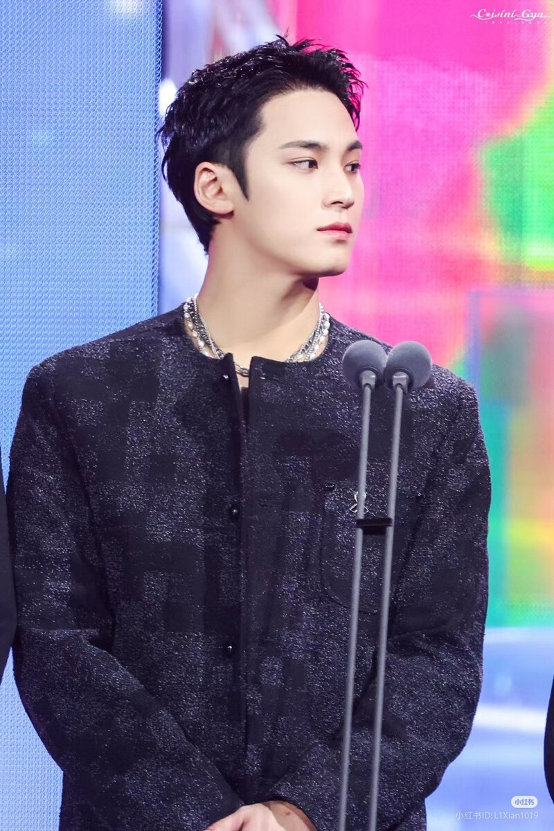 250105 SEVENTEEN Mingyu at Golden Disk Awards 2025 documents 1