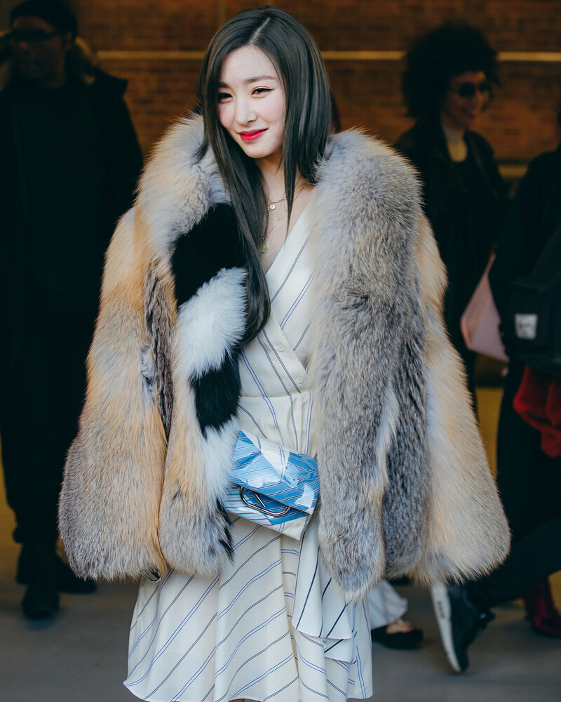 180212 New York Fashion Week - Tiffany Young documents 5