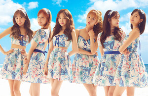 APINK 8th Japanese Single "Motto GO!GO!" concept teasers