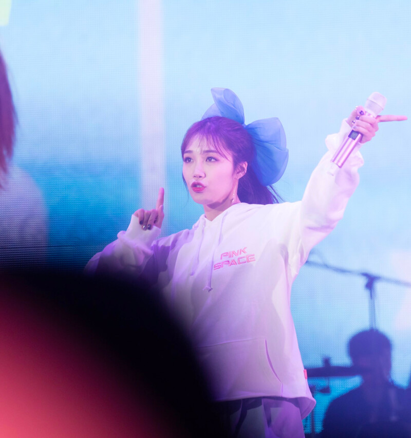 180113 Apink EUNJI at 'PINK SPACE 2018' Concert Day 2 documents 14