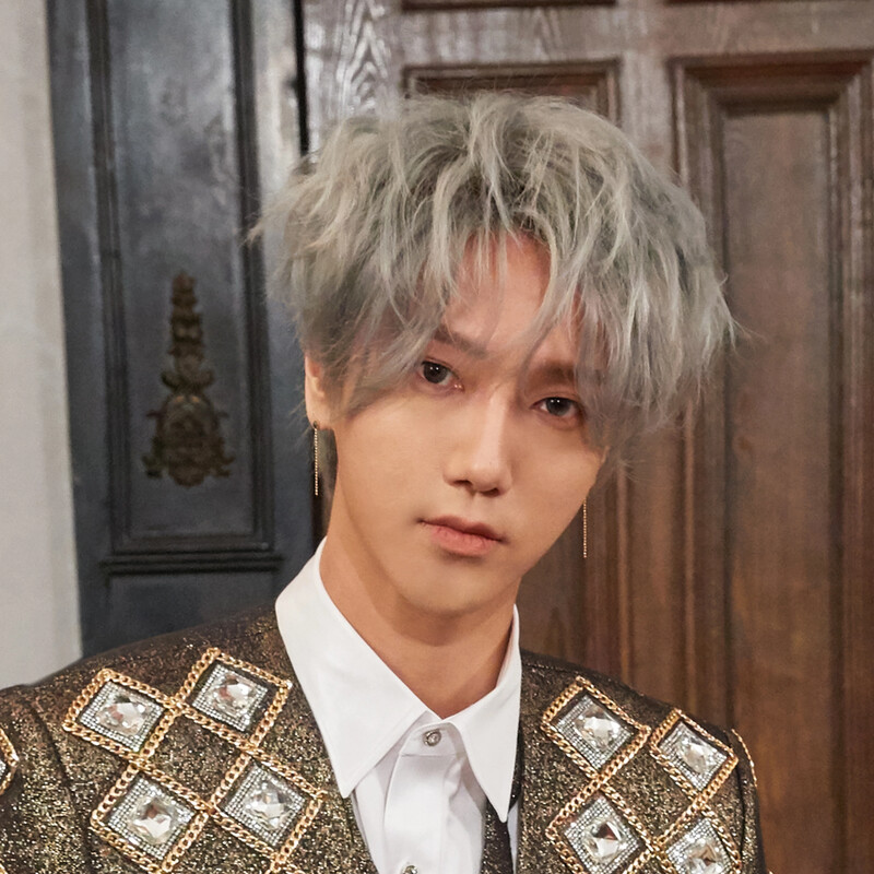 Super Junior "The Renaissance" Concept Teaser Images documents 7