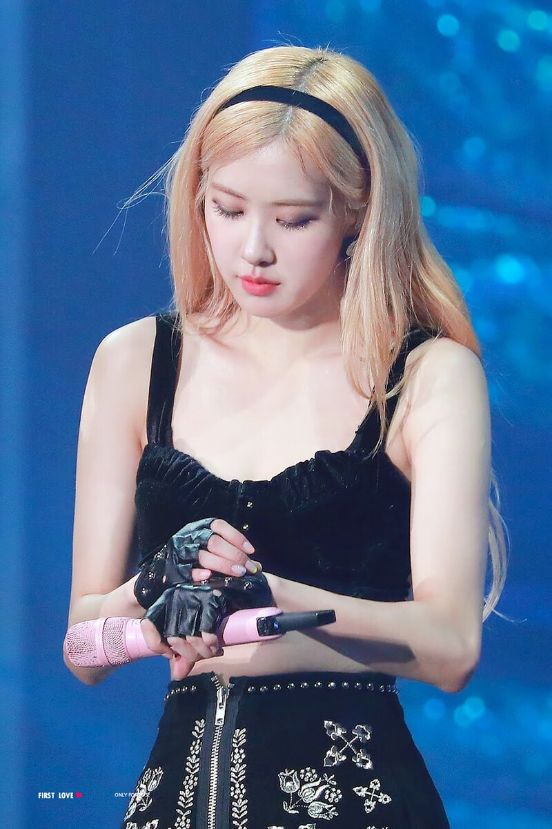 200105 BLACKPINK Rosé - 'In Your Area' World Tour in Osaka Day 2 documents 9