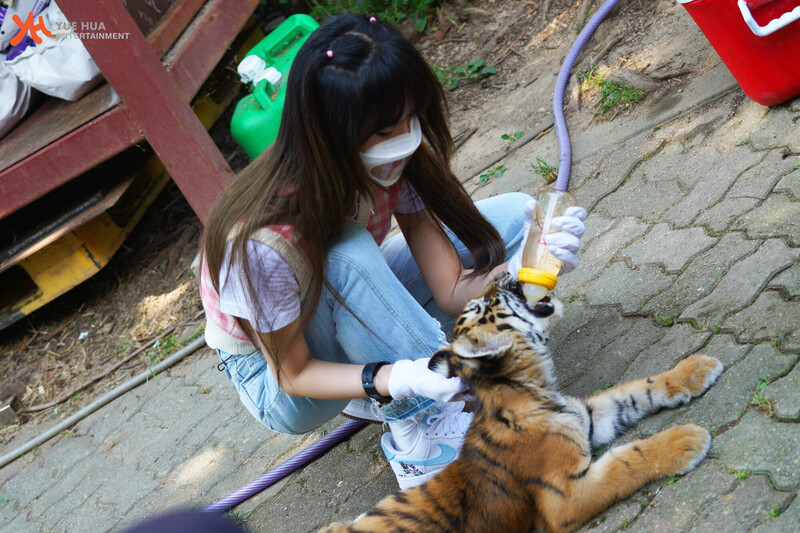 210901 Yuehua Naver Post - Yena Animal Detective Behind documents 21