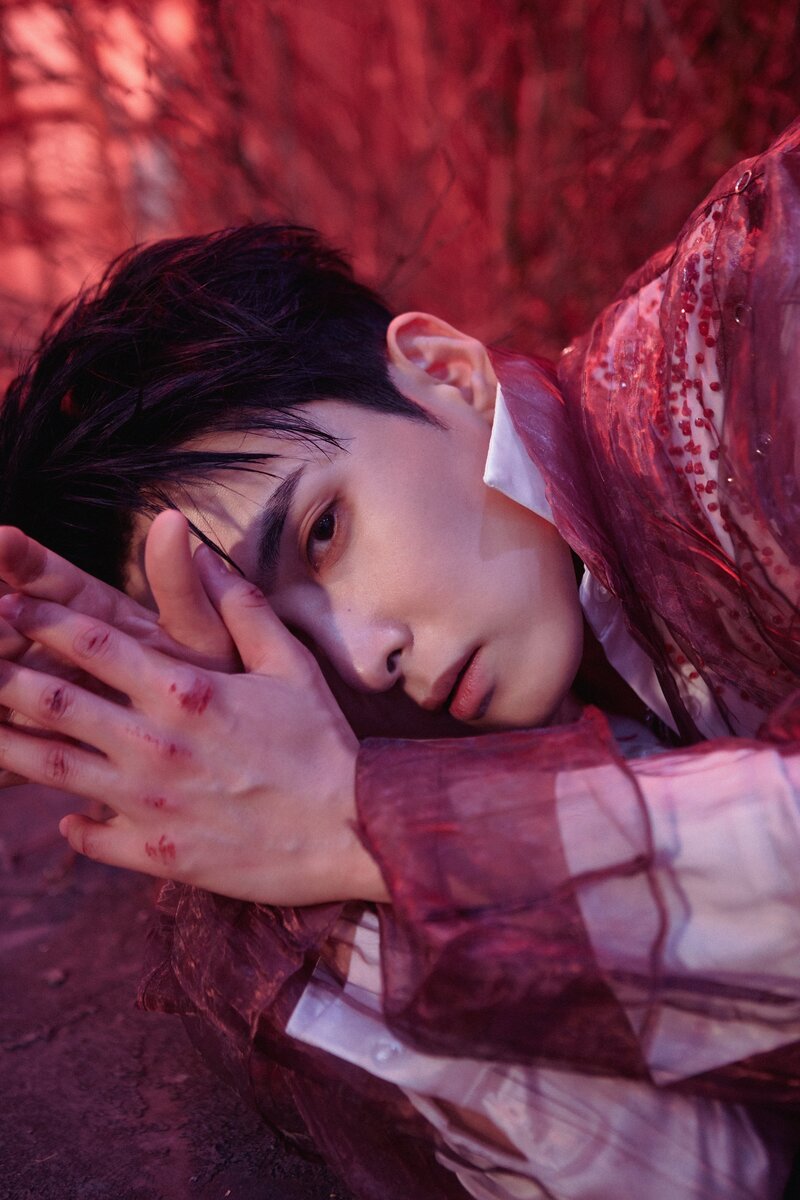 Ryeowook - 'A Wild Rose' Concept Teaser Images documents 9