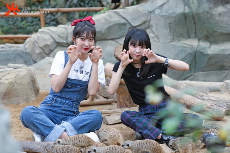 211028 Yuehua Naver Post - Yena & Sihyeon - Animal Detective Behind documents 1