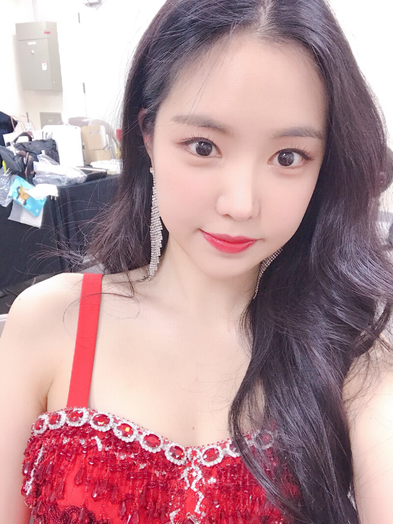 190105 APINK sns update - 5th Concert 2019 Pink Collection : Red & White - Day 1 documents 3