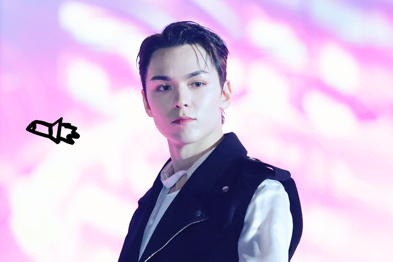 250105 SEVENTEEN Vernon at Golden Disk Awards 2025 documents 6