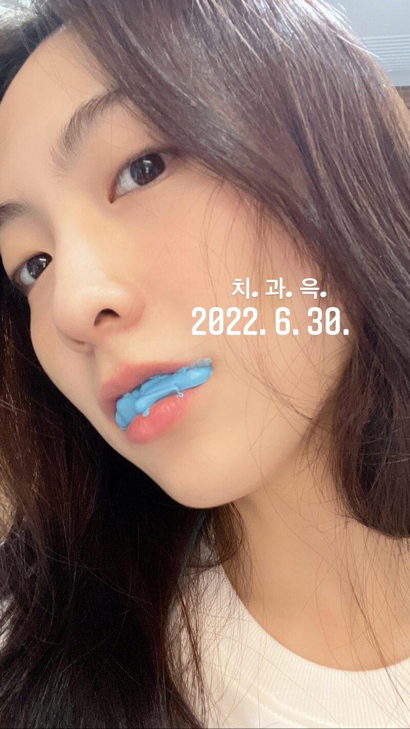 221231 KARA Jiyoung Instagram story update documents 25