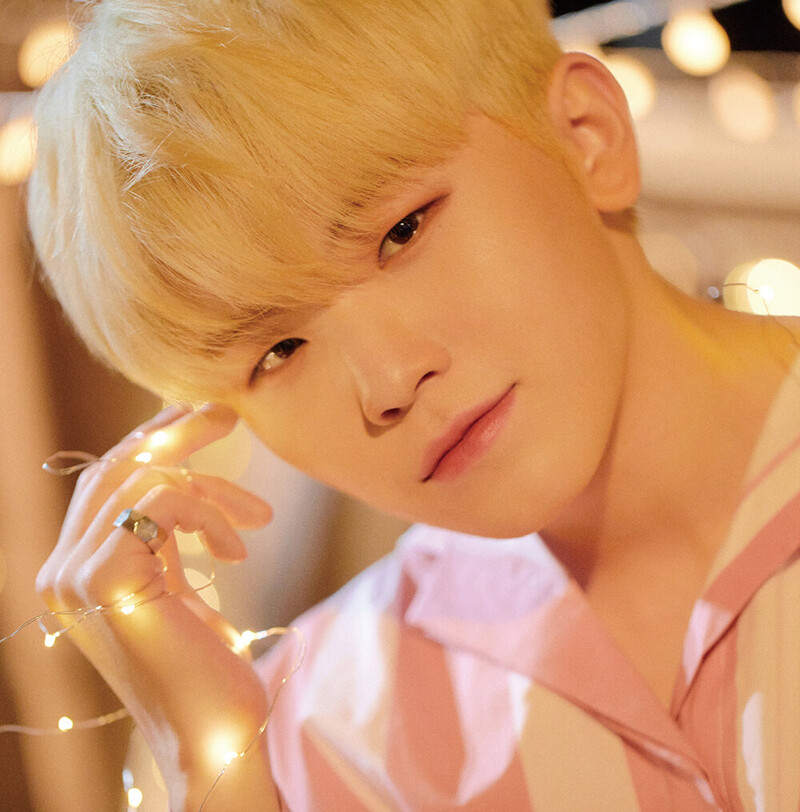 SEVENTEEN 5th Mini-Album 'YOU MAKE MY DAY' Concept Photo documents 7