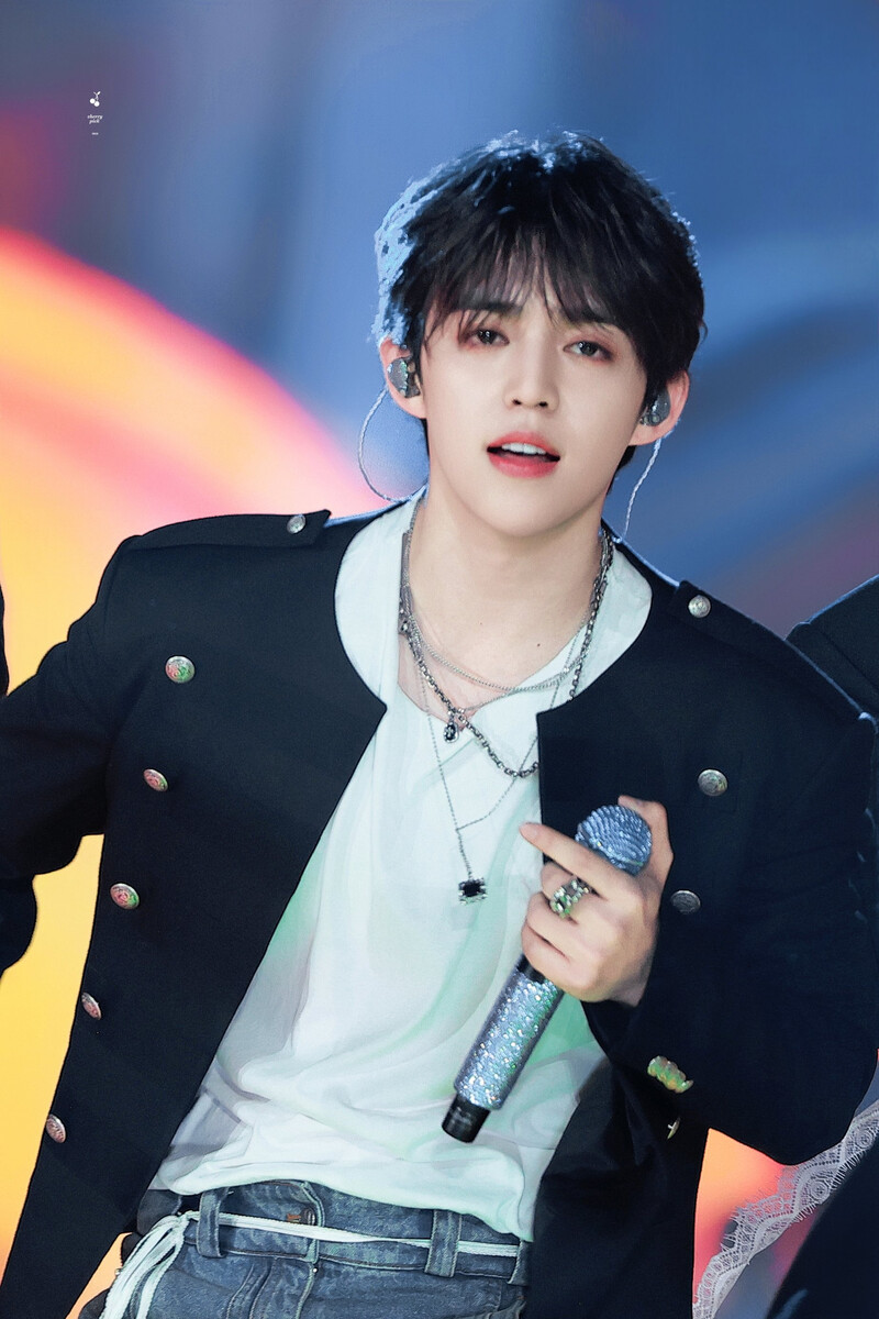 250105 SEVENTEEN S.Coups at Golden Disk Awards 2025 documents 23