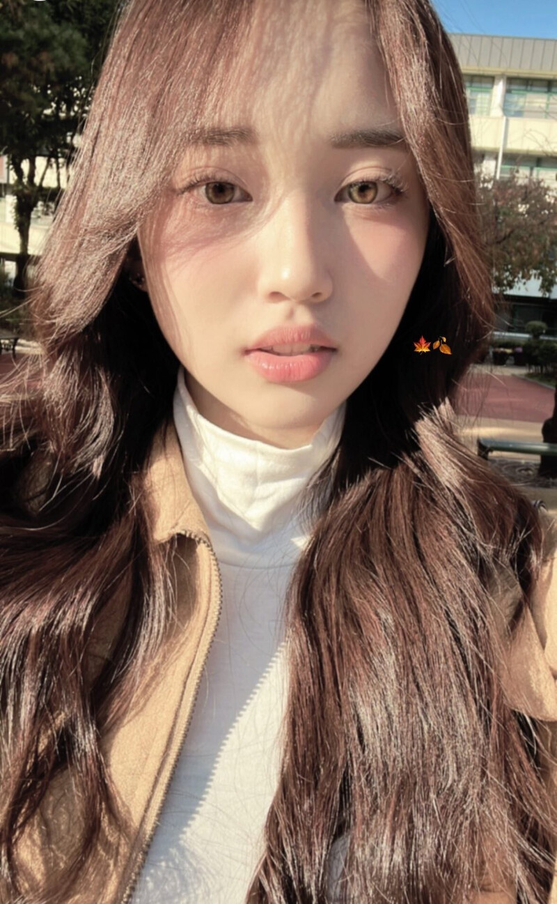 241108 Choi Soul Instagram & Instagram Story Update documents 2