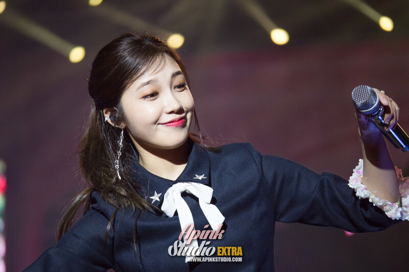 161218 Apink EUNJI - '2016 PINK PARTY' Concert Day 2 documents 21