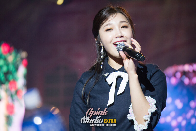 161218 Apink EUNJI - '2016 PINK PARTY' Concert Day 2 documents 23