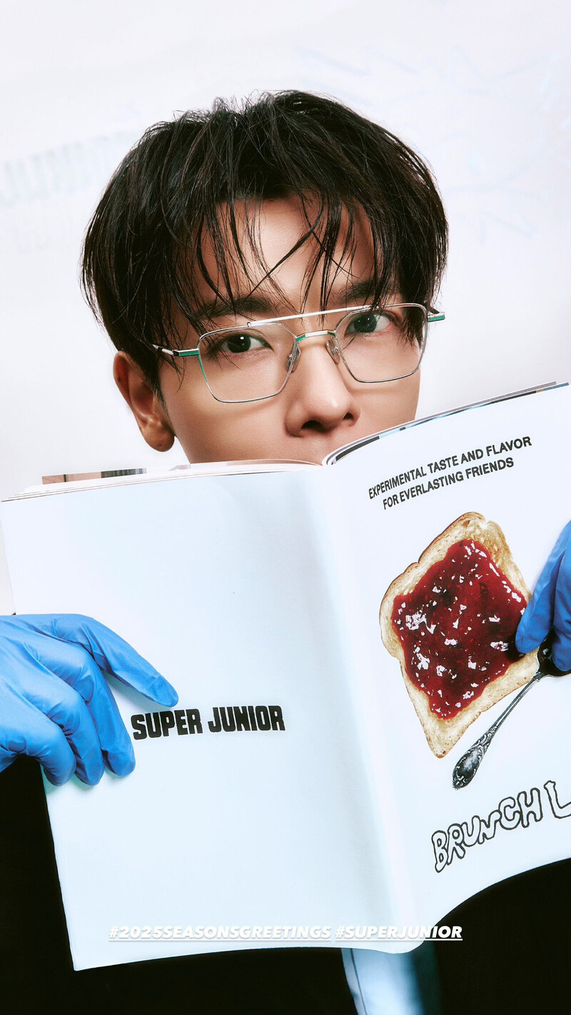 Super Junior 2025 Season's greetings teaser photos documents 6