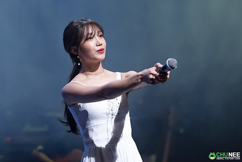 170605 Apink EUNJI's 1st Solo concert 'The Attic' Day 3 documents 5