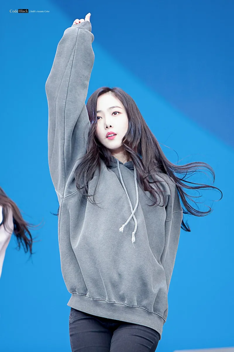 Sinb505.jpg