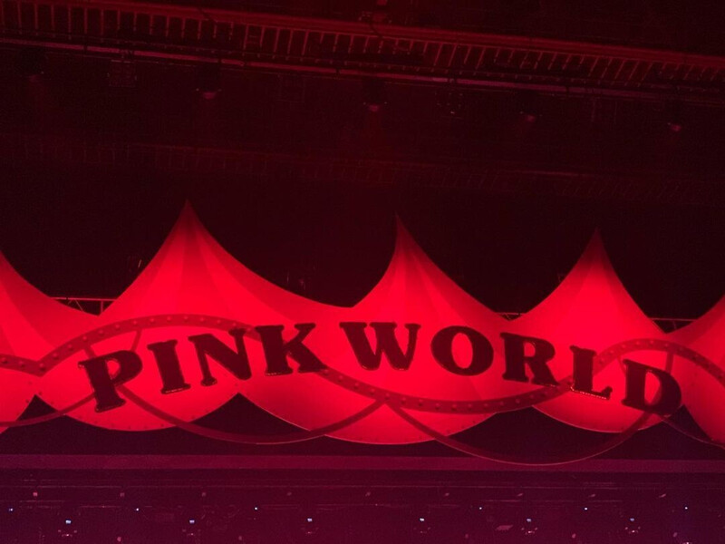 200201 APINK sns update - 'Welcome to PINK WORLD' concert Day 1 documents 4