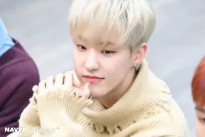 [NAVER x DISPATCH] Hallyu Main Dancer : Hoshi (181008)