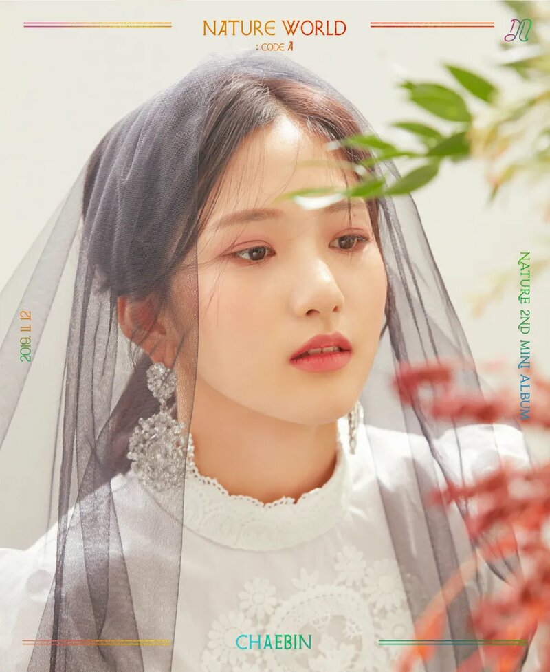 NATURE_Chaebin_NATURE_World_Code_A_concept_photo.png