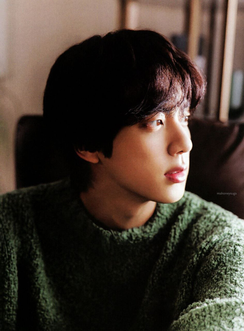 BTS [Jin] Global Official Fanclub 9th ARMY ZIP (SCANS) documents 8