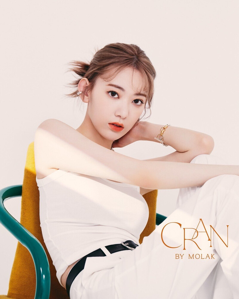 Miyawaki Sakura for Cran By Molak documents 1