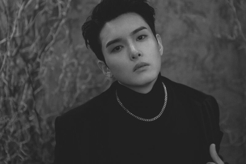 Ryeowook - 'A Wild Rose' Concept Teaser Images documents 17