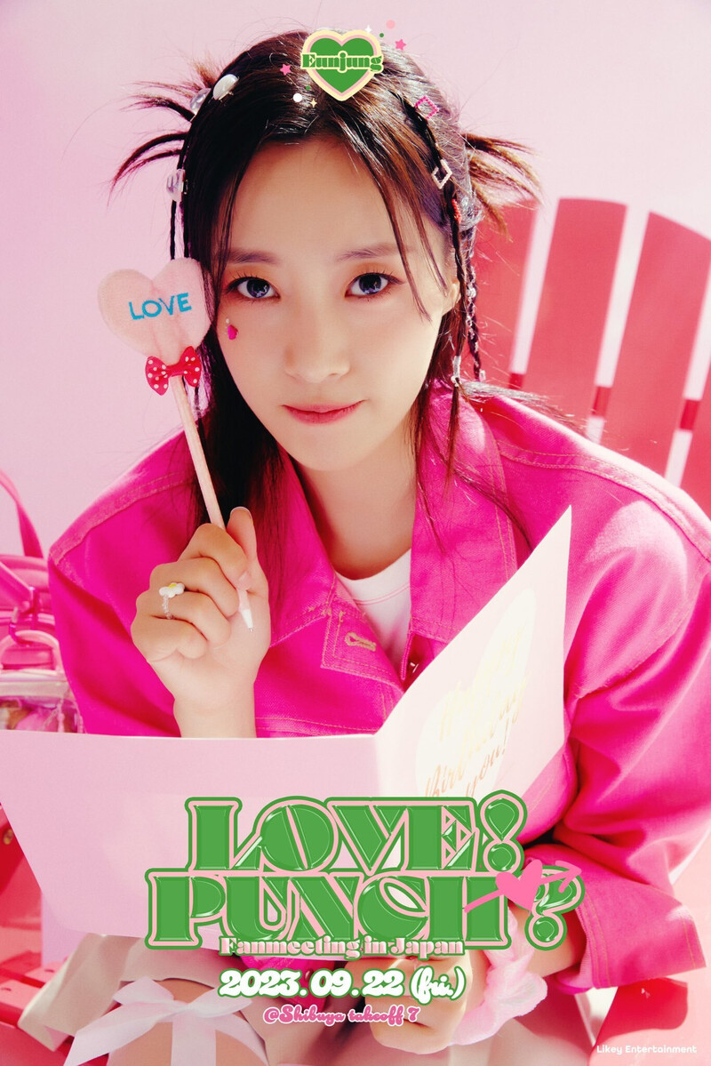 T-ara Eunjung Japan fan meeting 'Love Punch' promo photos documents 1