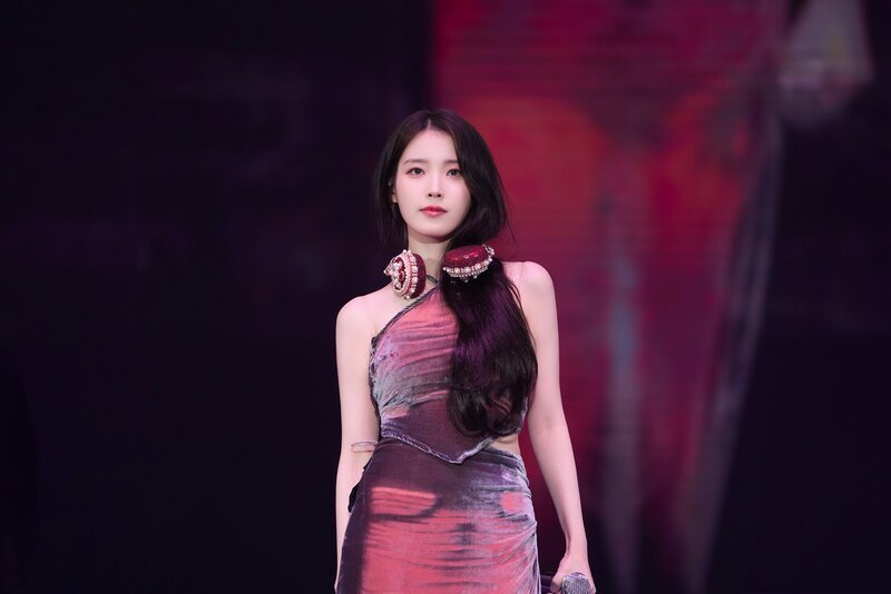 240427 IU - ‘H.E.R.’ World Tour in Jakarta Day 1 documents 1