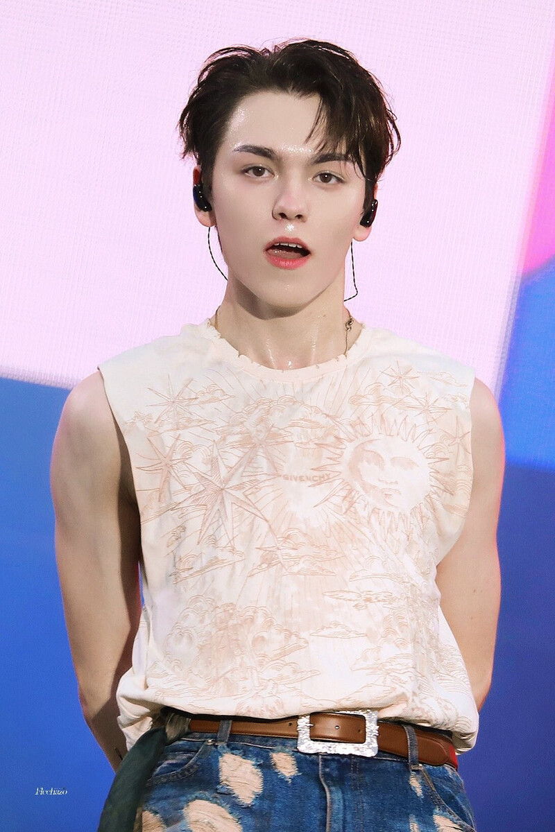 240909 SEVENTEEN Vernon - Lollapalooza in Berlin documents 3