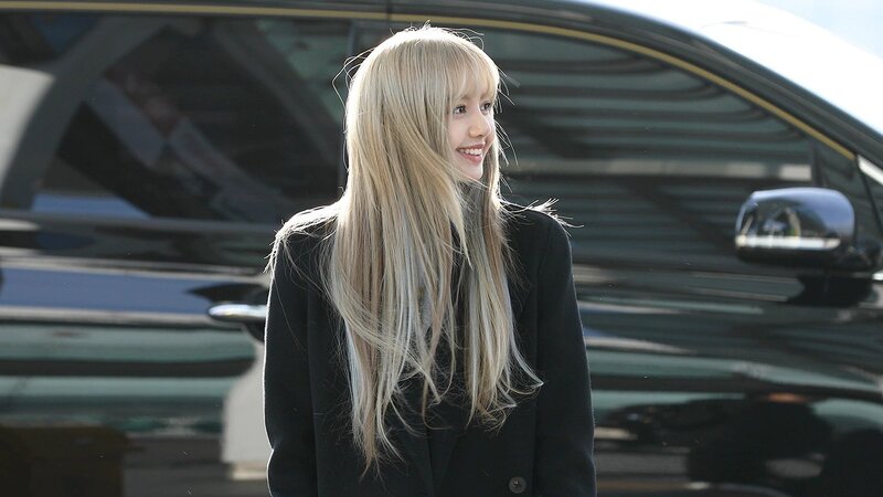 190109 - LISA at Incheon airport documents 2