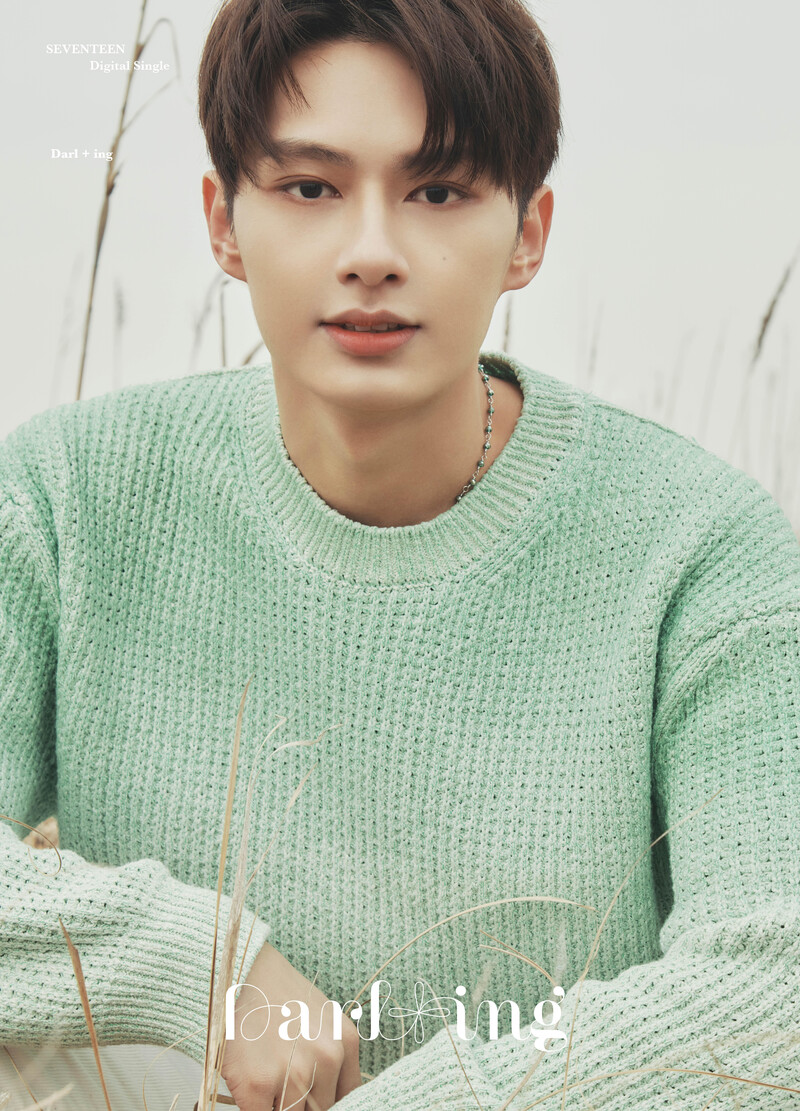 SEVENTEEN Digital Single 'Darl+ing' Concept Photo documents 5