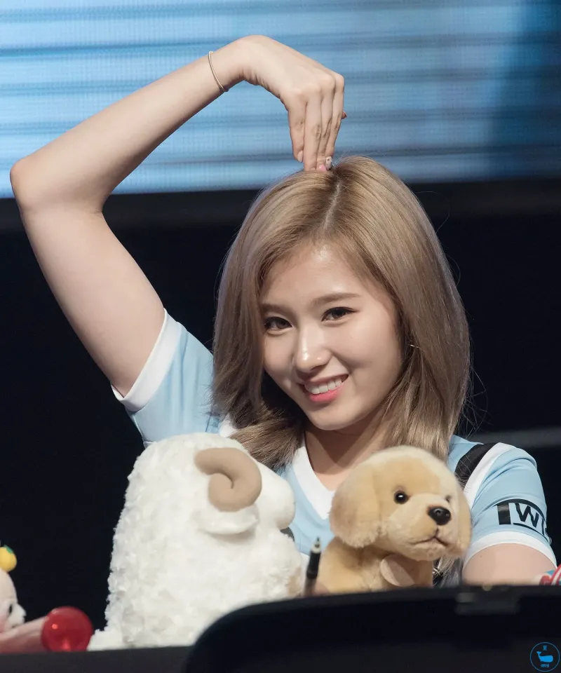 Sana481.jpg