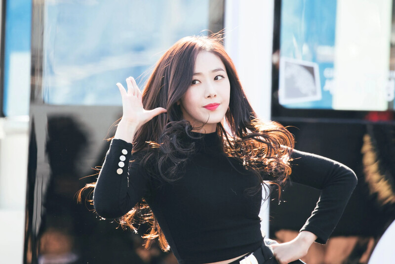 Sinb349.jpg