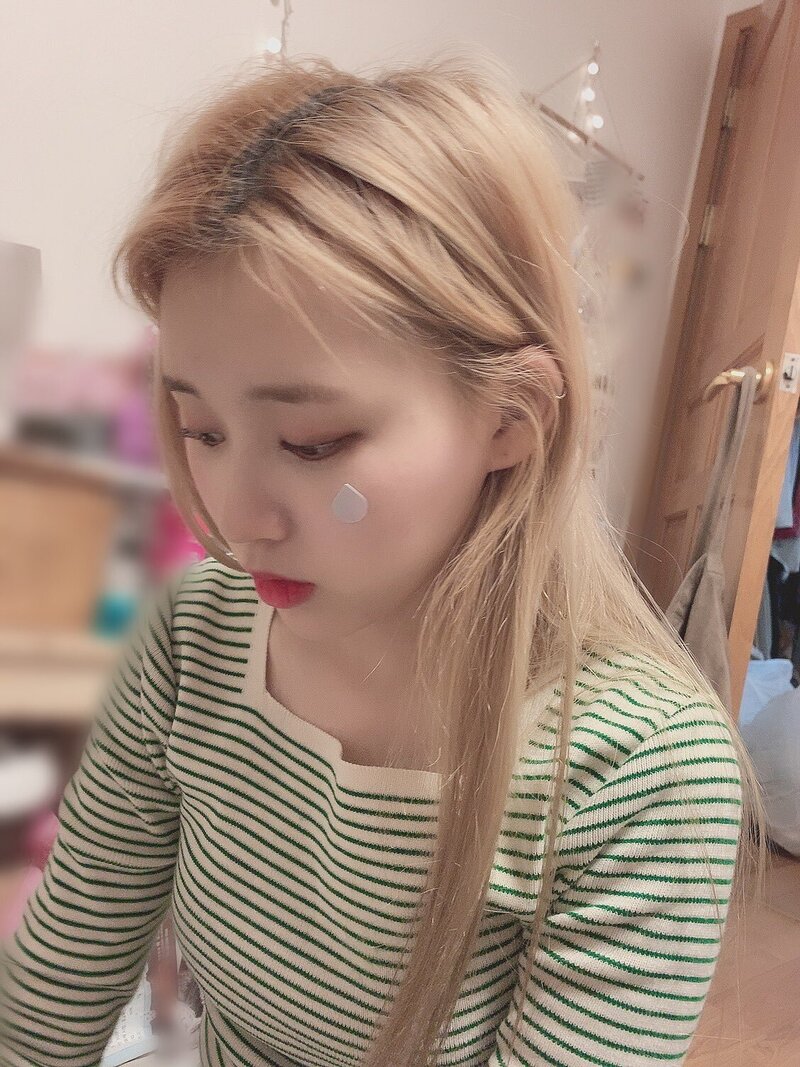 190719 Lucy Twitter updates documents 4