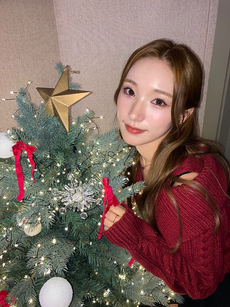 241225 - Geenius Members Twitter Update with SION documents 6