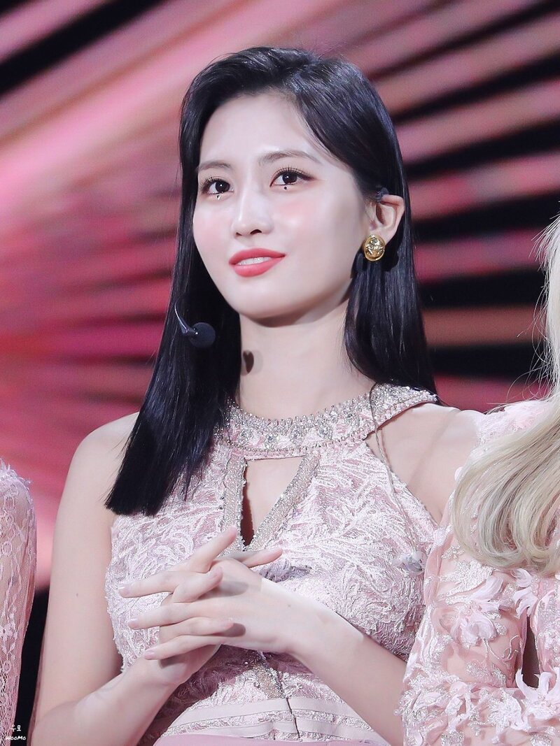 200104 TWICE Momo - 34th Golden Disc Awards Day 1 documents 6
